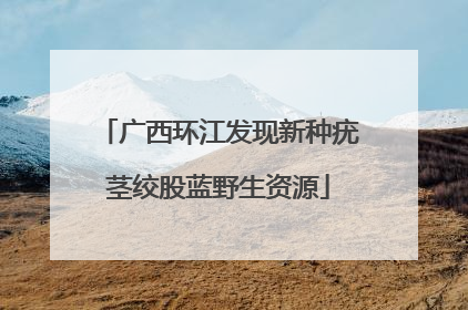 广西环江发现新种疣茎绞股蓝野生资源