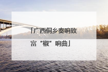 广西侗乡奏响致富“椒”响曲