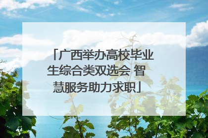 广西举办高校毕业生综合类双选会 智慧服务助力求职