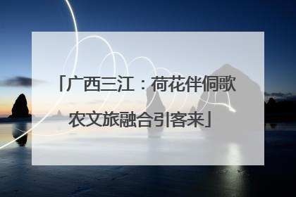 广西三江：荷花伴侗歌 农文旅融合引客来