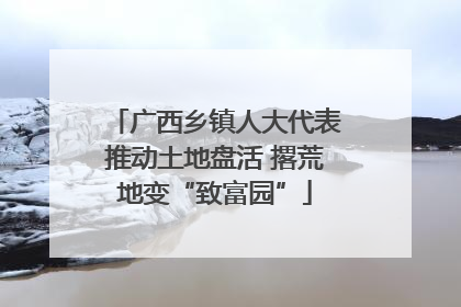 广西乡镇人大代表推动土地盘活 撂荒地变“致富园”