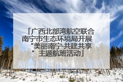 广西北部湾航空联合南宁市生态环境局开展“美丽南宁·共建共享”主题航班活动