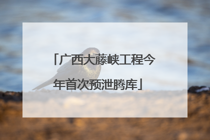 广西大藤峡工程今年首次预泄腾库