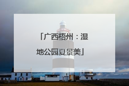 广西梧州：湿地公园夏景美