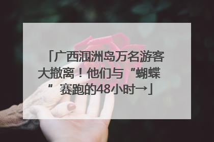 广西涠洲岛万名游客大撤离！他们与“蝴蝶”赛跑的48小时→