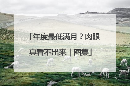 年度最低满月？肉眼真看不出来｜图集