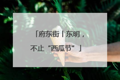 府东街丨东明，不止“西瓜节”