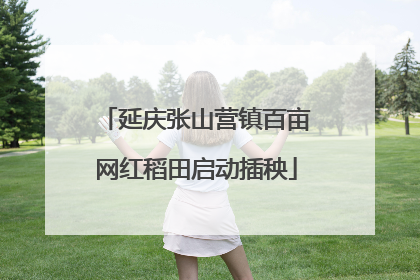 延庆张山营镇百亩网红稻田启动插秧