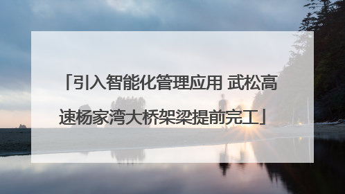 引入智能化管理应用 武松高速杨家湾大桥架梁提前完工