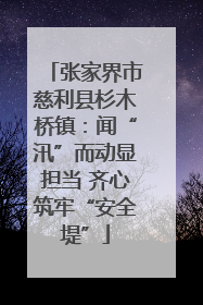 张家界市慈利县杉木桥镇：闻“汛”而动显担当 齐心筑牢“安全堤”