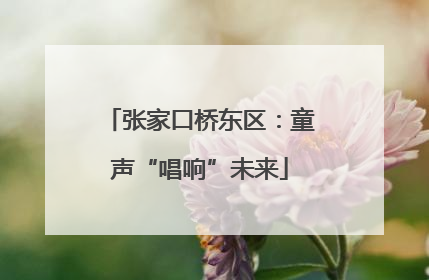 张家口桥东区：童声“唱响”未来