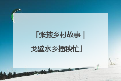 张掖乡村故事｜戈壁水乡插秧忙