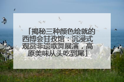 揭秘三种颜色绘就的西博会甘孜馆：沉浸式观赏非遗歌舞展演，高原美味从头吃到尾