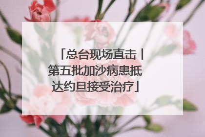 总台现场直击丨第五批加沙病患抵达约旦接受治疗