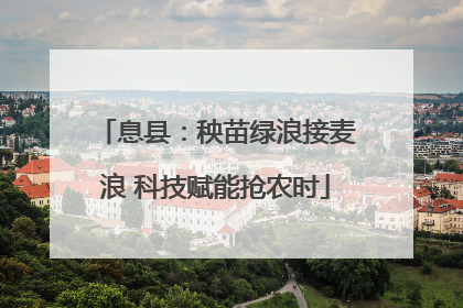 息县：秧苗绿浪接麦浪 科技赋能抢农时