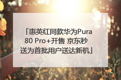 惠英红同款华为Pura 80 Pro+开售 京东秒送为首批用户送达新机