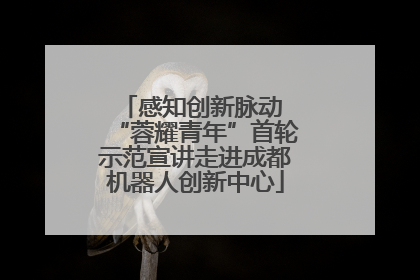 感知创新脉动 “蓉耀青年”首轮示范宣讲走进成都机器人创新中心