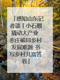 感知山东记者谈丨小石榴撬动大产业 枣庄破局乡村发展难题 书写乡村共富答卷