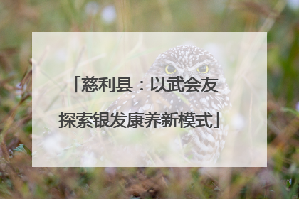 慈利县：以武会友 探索银发康养新模式