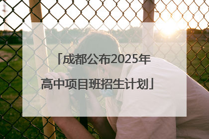 成都公布2025年高中项目班招生计划