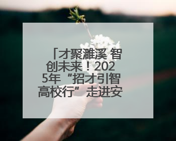 才聚濉溪 智创未来！2025年“招才引智高校行”走进安徽大学