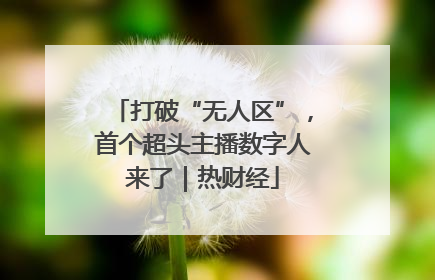 打破“无人区”，首个超头主播数字人来了｜热财经