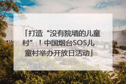 打造“没有院墙的儿童村”！中国烟台SOS儿童村举办开放日活动