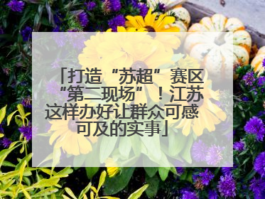 打造“苏超”赛区“第二现场”！江苏这样办好让群众可感可及的实事