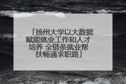 扬州大学以大数据赋能就业工作和人才培养 全链条就业帮扶畅通求职路