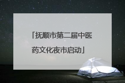 抚顺市第二届中医药文化夜市启动