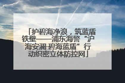 护碧海净浪，筑蓝盾铁壁——浦东海警“沪海安澜·碧海蓝盾”行动织密立体防控网