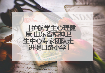 护航学生心理健康 山东省精神卫生中心专家团队走进堤口路小学