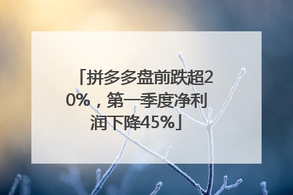 拼多多盘前跌超20%，第一季度净利润下降45%
