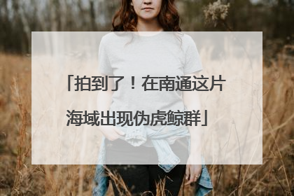 拍到了！在南通这片海域出现伪虎鲸群