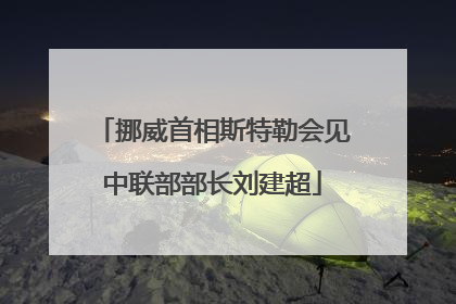 挪威首相斯特勒会见中联部部长刘建超