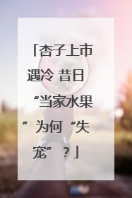 杏子上市遇冷 昔日“当家水果”为何“失宠”？