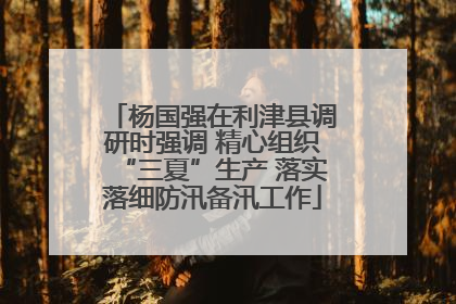 杨国强在利津县调研时强调 精心组织“三夏”生产 落实落细防汛备汛工作