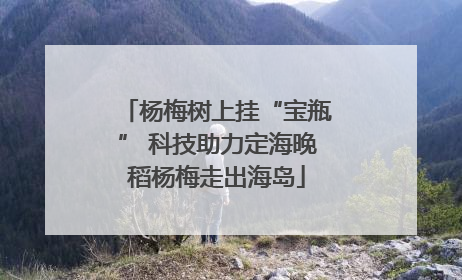 杨梅树上挂“宝瓶” 科技助力定海晚稻杨梅走出海岛