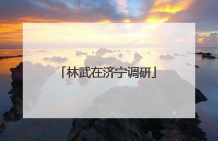 林武在济宁调研