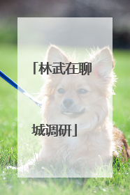 林武在聊城调研