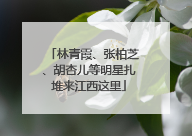 林青霞、张柏芝、胡杏儿等明星扎堆来江西这里