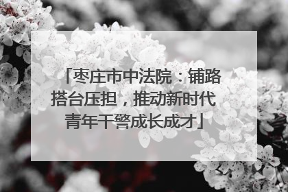 枣庄市中法院：铺路搭台压担，推动新时代青年干警成长成才