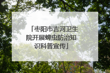 枣阳市吉河卫生院开展蜱虫防治知识科普宣传
