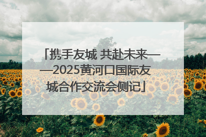 携手友城 共赴未来——2025黄河口国际友城合作交流会侧记
