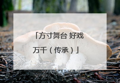 方寸舞台 好戏万千（传承）