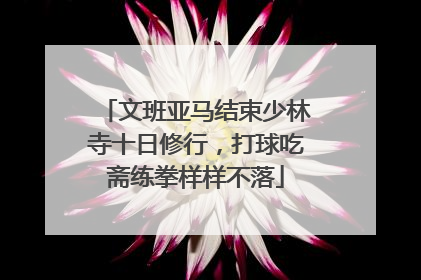 文班亚马结束少林寺十日修行，打球吃斋练拳样样不落