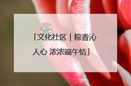 文化社区｜粽香沁人心 浓浓端午情