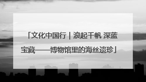 文化中国行｜浪起千帆 深蓝宝藏——博物馆里的海丝遗珍
