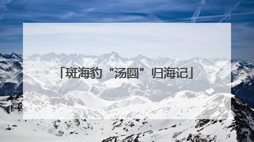 斑海豹“汤圆”归海记