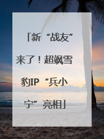 新“战友”来了！超飒雪豹IP“兵小宁”亮相